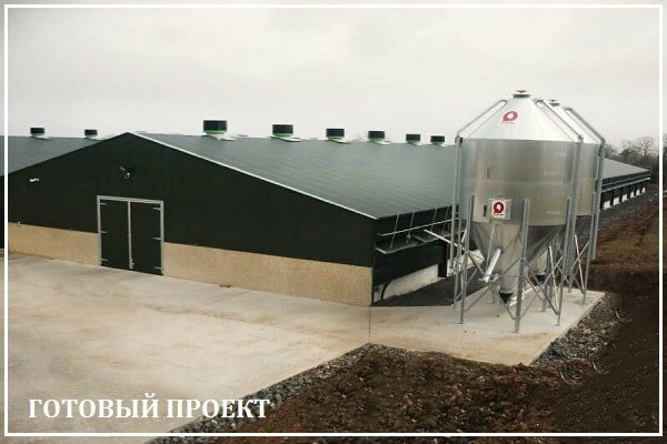 Этапы возведения птицефабрики от завода ВелесТент-клп